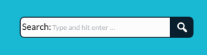 search bar example